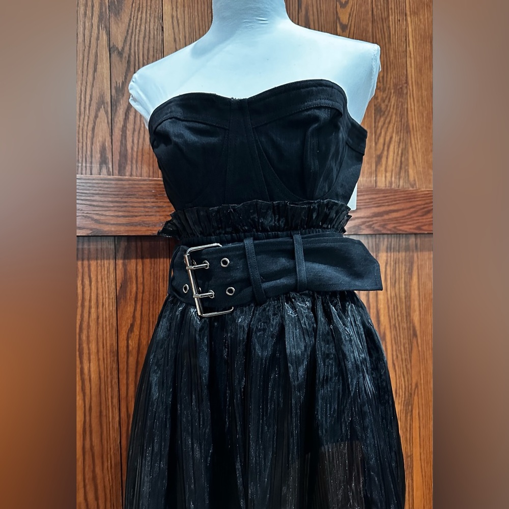 Anthropologie Pilcro Strapless Bodysuit and Sheer Skirt - Picture 6 of 9